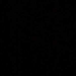 Meet your Posher, Rodrigeus